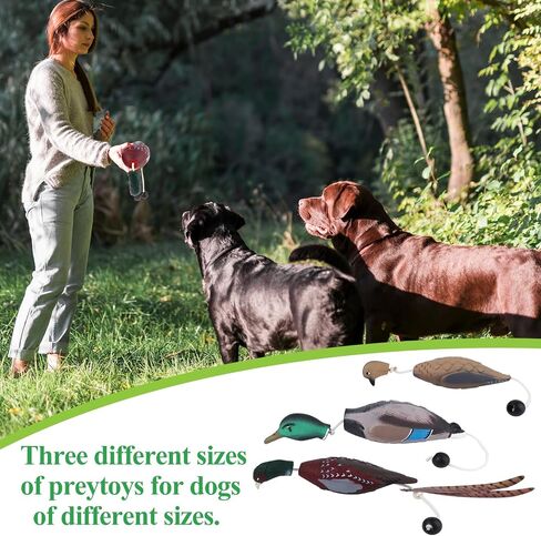 2Pcs/3Pcs Duck Dummy Dog Pheasant Toy for Outdoor Training Tools Bumper Retriever Dead Dummy Floating Mallard Recognition Trainers Toy (Duck Pigeon Chicken) in Kuwait