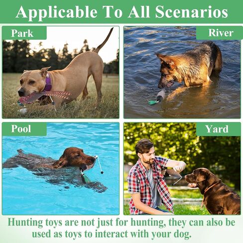 2Pcs/3Pcs Duck Dummy Dog Pheasant Toy for Outdoor Training Tools Bumper Retriever Dead Dummy Floating Mallard Recognition Trainers Toy (Duck Pigeon Chicken) in Kuwait