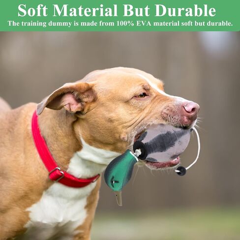 2Pcs/3Pcs Duck Dummy Dog Pheasant Toy for Outdoor Training Tools Bumper Retriever Dead Dummy Floating Mallard Recognition Trainers Toy (Duck Pigeon Chicken) in Kuwait