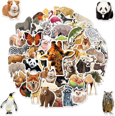 Cute Animal Water Bottle Stickers 200 Pcs Stickers for Kids Teens | Waterproof Vinyl Kawaii for Laptop, Classroom, Phone Case, Luggage, Stanley Cups in Saudi Arabia