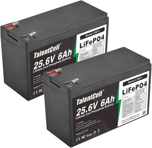 Talentcell 2-Pack 24V 6Ah LiFePO4 Battery Pack, 25.6V 153.6Wh Deep Cycle Rechargeable Lithium Iron Phosphate Batteries for Camping, Solar System, DIY Project, Without Charger in Saudi Arabia