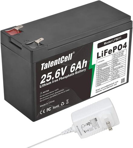 Talentcell 2-Pack 24V 6Ah LiFePO4 Battery Pack, 25.6V 153.6Wh Deep Cycle Rechargeable Lithium Iron Phosphate Batteries for Camping, Solar System, DIY Project, Without Charger in Saudi Arabia