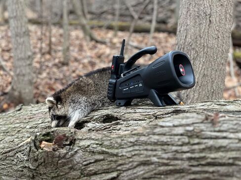 Night Stalker+ Predator Game Call - Designed for Coyote, Fox, Bobcat, Raccoon Hunting - 165 Sounds Included, 300 Yard Remote Range in Saudi Arabia