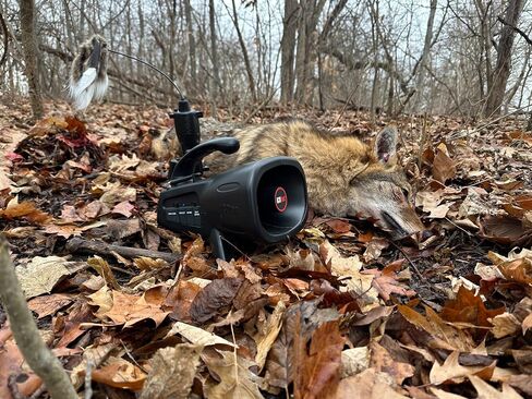 Night Stalker+ Predator Game Call - Designed for Coyote, Fox, Bobcat, Raccoon Hunting - 165 Sounds Included, 300 Yard Remote Range in Saudi Arabia