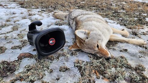 Night Stalker+ Predator Game Call - Designed for Coyote, Fox, Bobcat, Raccoon Hunting - 165 Sounds Included, 300 Yard Remote Range in Saudi Arabia