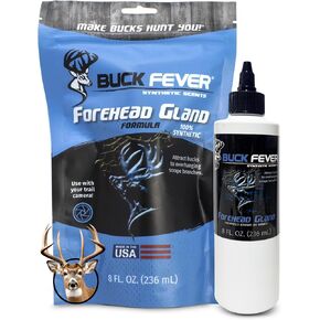 Buck Fever Forehead Gland for Mock Scrapes and Licking Branches in Saudi Arabia