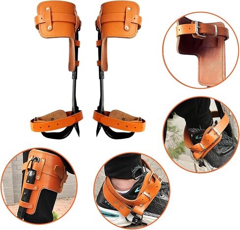 Padded Tree Climbing Spikes for Tree Work Tree Spurs with Leather Safety Belt Tree Evoke for Tall Pines with Durable Tree Gaffs Spurs with Stabilize Foot Lines in Saudi Arabia