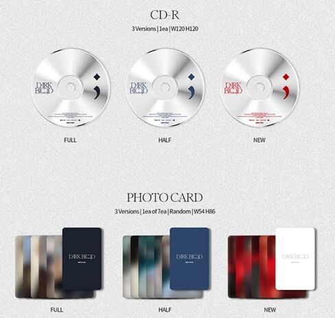 ENHYPEN DARK BLOOD Photobook Ver (NEW) in Saudi Arabia