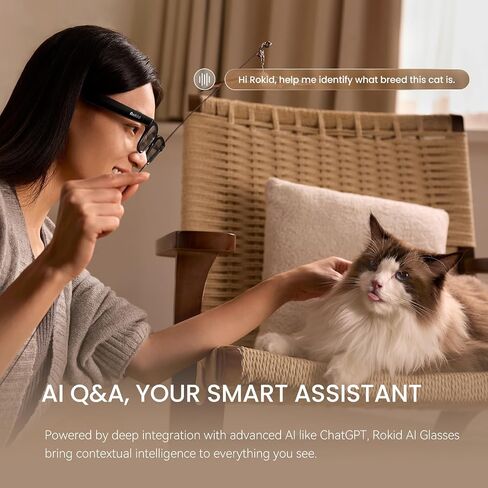 Rokid Ai Glasses Style (Non-Display), 2026 Smart Audio Sun Glasses | ChatGPT & Gemini, Real-Time Translation, 12MP Camera, Voice-Controlled Assistant, Hands-Free Calls, Productivity for Travel in Saudi Arabia