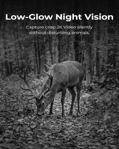 Oculview 4G LTE Cellular Trail Cameras, 360° 2K Live Streaming Game Camera, SIM Card Included, Low-Glow Night Vision, Solar Powered, Instant Alerts, Two Storage Ways, No WiFi Needed for Hunting&Trail in Saudi Arabia