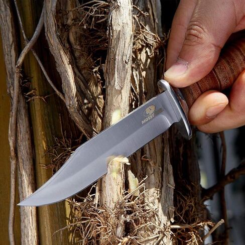 Mossy Oak 2-Piece Bowie Knife Set | Fixed Blade Hunting Knife with Leather Handle, Sheath Included in Kuwait