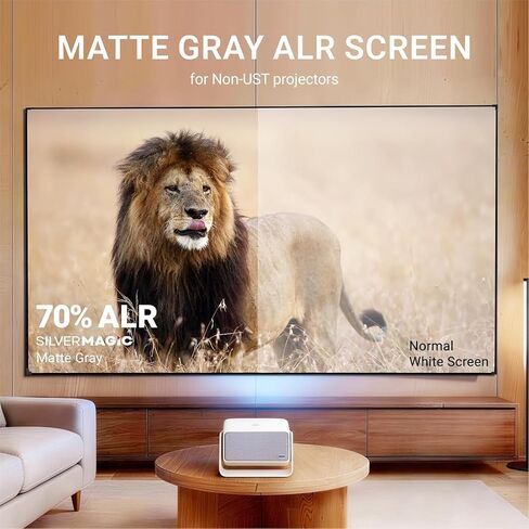 ALR Projector Screen for Standard Throw (Non-UST) with Fixed Frame by SilverMagic - Indoor Wall-Mounted Gray Screen for Home Theater/Living Room/Patio/Office/Classroom - 100 inch 16:9 in Saudi Arabia
