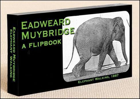 M.C. Escher Flipbook for Kids Ages 6-12, Animation Flip Book for Children in Kuwait