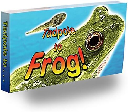 M.C. Escher Flipbook for Kids Ages 6-12, Animation Flip Book for Children in Kuwait