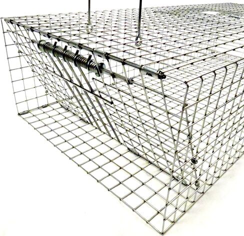 Model 502R - Tomahawk Double Door Rigid Pigeon Trap in Saudi Arabia