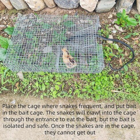 DSQSMR Snake Trap Cage Humane Snake Catcher All Kinds of Snakes -Reusable in Saudi Arabia