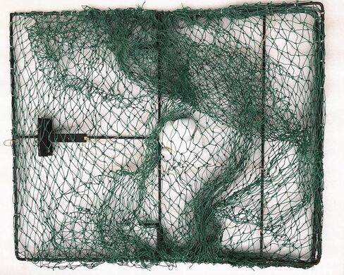 Large Spring Domestic Bird Trap Dird Chicken Hawk Net Trap Wild Turkey Traps Outdoor Animal Camping Hunting Cage Tools,Enhanced Edition 24x20 Inches in Saudi Arabia