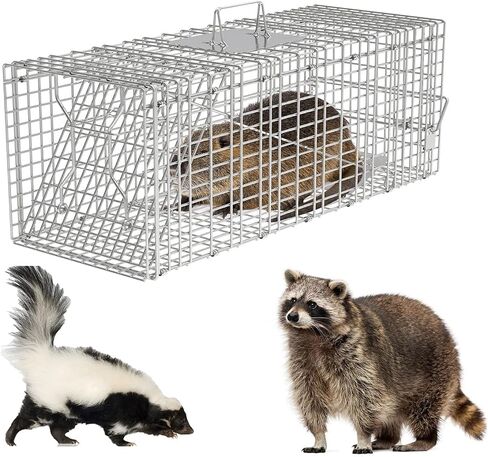 Large Animal Cat Trap Humane Live Animal Trap Catch &Release Rodent Cage | Collapsible Galvanized Wire for Cat Rabbit Raccoons Beavers Groundhogs Small Foxes Dogs/30.51x12.5x12 inches in Saudi Arabia