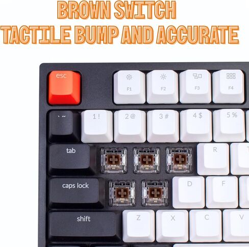 Keychron C2 Full Size 104 Keys USB Type-C Wired Mechanical Gaming Keyboard for Mac Layout, Gateron G Pro Red Switch/RGB Backlight/Double-Shot ABS keycaps Computer Keyboard for Windows Laptop PC in Saudi Arabia