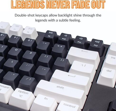 Keychron C2 Full Size 104 Keys USB Type-C Wired Mechanical Gaming Keyboard for Mac Layout, Gateron G Pro Red Switch/RGB Backlight/Double-Shot ABS keycaps Computer Keyboard for Windows Laptop PC in Saudi Arabia