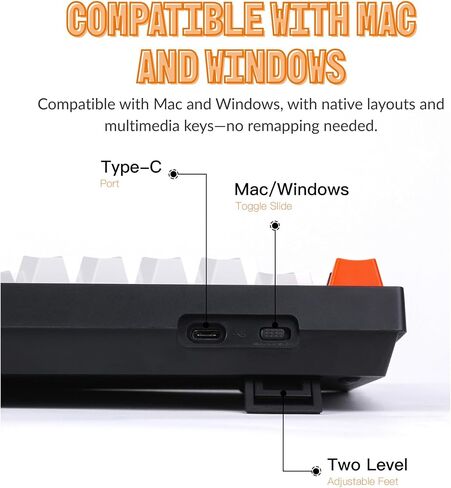 Keychron C2 Full Size 104 Keys USB Type-C Wired Mechanical Gaming Keyboard for Mac Layout, Gateron G Pro Red Switch/RGB Backlight/Double-Shot ABS keycaps Computer Keyboard for Windows Laptop PC in Saudi Arabia