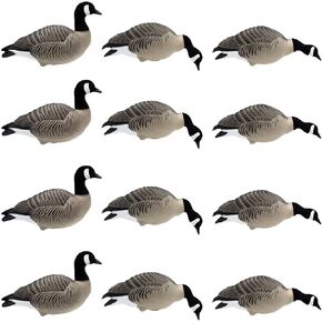 Final Approach HD Full Body Lesser Canada Goose Decoys, 12 Pack in Saudi Arabia