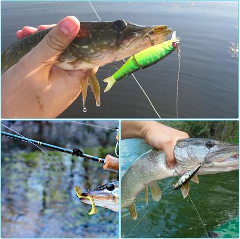 4 PCS Bait Elastic, 0.2mm 820 FT Per Fishing Thread, Magic String Fishing | Invisible Thread Magic, Clear Nylon Thread, Thin Fishing Line for Salmon Sturgeon Bass in Saudi Arabia
