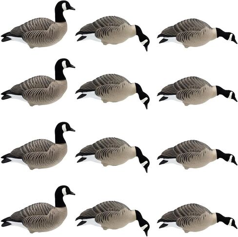 Final Approach HD Full Body Lesser Canada Goose Decoys, 12 Pack in Saudi Arabia