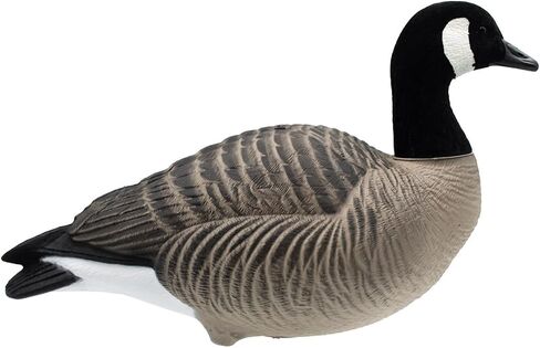 Final Approach HD Full Body Lesser Canada Goose Decoys, 12 Pack in Saudi Arabia