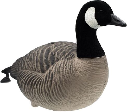 Final Approach HD Full Body Lesser Canada Goose Decoys, 12 Pack in Saudi Arabia
