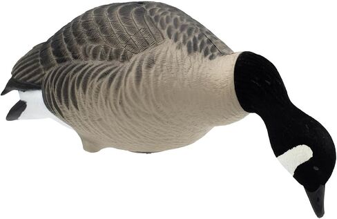 Final Approach HD Full Body Lesser Canada Goose Decoys, 12 Pack in Saudi Arabia