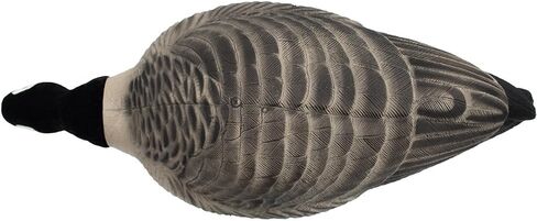 Final Approach HD Full Body Lesser Canada Goose Decoys, 12 Pack in Saudi Arabia