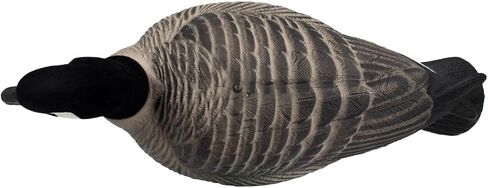 Final Approach HD Full Body Lesser Canada Goose Decoys, 12 Pack in Saudi Arabia