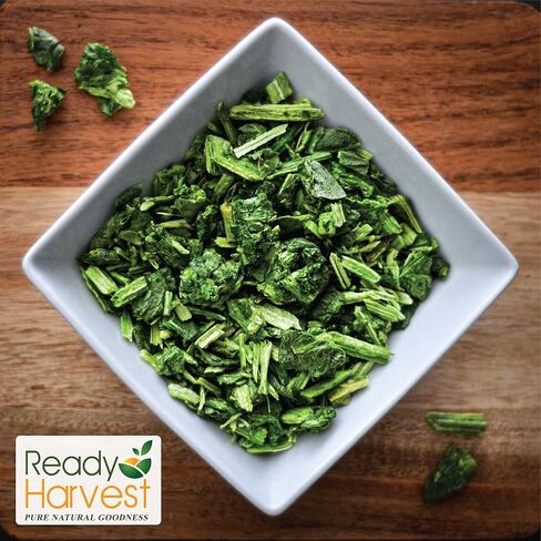 Ready Harvest Freeze Dried Food - Spinach | Emergency Vegetables | Camping Essentials | #10 Can | 25-Year Shelf Life | Cans Filled to the Top in Saudi Arabia