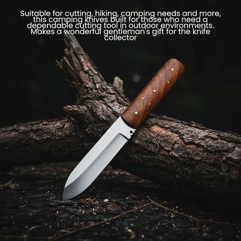 SZCO Full Tang Hunting Knife 8 Inch - Classic Patch Camping Knife with Burlwood Handle, Stainless Steel Blade & Sheath - Brown Pocket Knife for Hunting, Cutting & Outdoor uses - Knives for Men in Kuwait