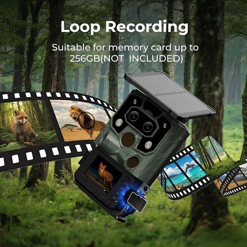 Trail Camera Starlight Night Vision WiFi, Dual Lens Solar Game Camera | Bluetooth, 60MP 4K 30FPS, Trail Cameras with Night Vision Motion Activated Waterproof Loop Recording for Wildlife Monitoring in Saudi Arabia