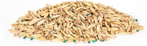 Whitetail Institute Pure Attraction Food Plot Seed .25 Acres or 13 lbs. in Saudi Arabia