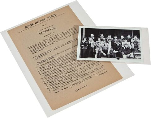 Gaylord Archival 3 مل أرشيفية بوليستر بأكمام على شكل حرف L للصور والمستندات (10 عبوات) - تناسب ما يصل إلى 8 1/2 × 11 in Kuwait