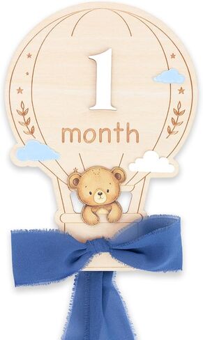 Baby Monthly Milestone Signs, 1–12 Month Baby Milestone Markers, Newborn Photography Props, Nursery Decor, Baby Growth Photo Cards (Blue D15) in Saudi Arabia