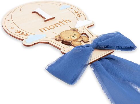 Baby Monthly Milestone Signs, 1–12 Month Baby Milestone Markers, Newborn Photography Props, Nursery Decor, Baby Growth Photo Cards (Blue D15) in Saudi Arabia
