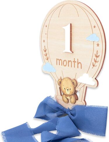 Baby Monthly Milestone Signs, 1–12 Month Baby Milestone Markers, Newborn Photography Props, Nursery Decor, Baby Growth Photo Cards (Blue D15) in Saudi Arabia