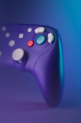 Retro Fighters BattlerGC Wireless Controller - Gamecube, Game Boy Player, Switch & PC Compatible (Blue/Purple) in Saudi Arabia