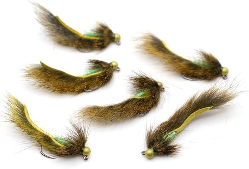 Moonlit Fly Fishing - Sour Apple Jig Leech Flies, Size 8, 6-Pack | Heavy 4mm tungsten bead and premium jig hook; mimics leeches with an erratic jigging action along the bottom in Saudi Arabia