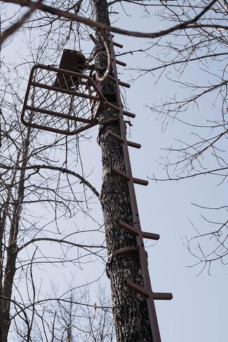 Trophy Slayer Mono 16 FT Treestand Climbing Sticks for Hunting, Steel Tree Stand Ladder Sticks, Portable Climbing Sticks for Treestands, Deer Stand Ladder Steps in Saudi Arabia