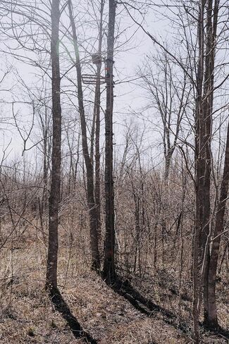 Trophy Slayer Mono 16 FT Treestand Climbing Sticks for Hunting, Steel Tree Stand Ladder Sticks, Portable Climbing Sticks for Treestands, Deer Stand Ladder Steps in Saudi Arabia