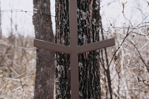 Trophy Slayer Mono 16 FT Treestand Climbing Sticks for Hunting, Steel Tree Stand Ladder Sticks, Portable Climbing Sticks for Treestands, Deer Stand Ladder Steps in Saudi Arabia