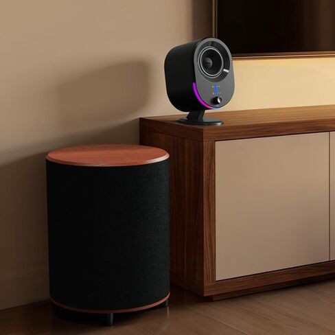 LITTOAK Powered Subwoofer, 6.5’’ Sub with DSP, Up to 100 Watts Home Theater Subwoofers, Down-Firing Subs, Class-D Amp, 40-250Hz, Auto On/Off, Low Pass dial, Phase Switch, Big Bass in Compact Design in Saudi Arabia