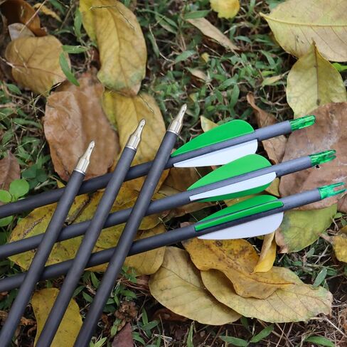 31inch Carbon Arrows, Archery Arrows for Compound & Recurve Bow, Hunting Arrows for Bow, 500 Spine Practice Arrows (Pack of 12) in Saudi Arabia