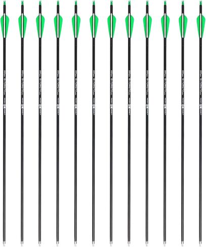 31inch Carbon Arrows, Archery Arrows for Compound & Recurve Bow, Hunting Arrows for Bow, 500 Spine Practice Arrows (Pack of 12) in Saudi Arabia