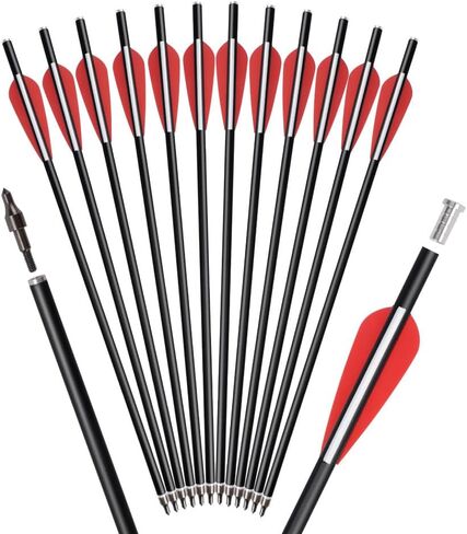 Crossbow Bolts Arrows Fiberglass 12 14 16 Inch Hunting Archery Target Arrow with Replaced 100 Grain Arrowheads Flat Nocks (Pack of 12) in Kuwait